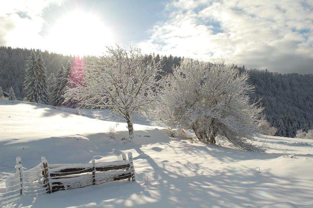 La Haut & Spa Ventron Room photo